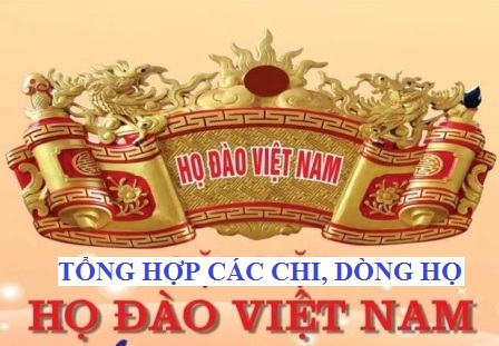 Quảng cáo trái80